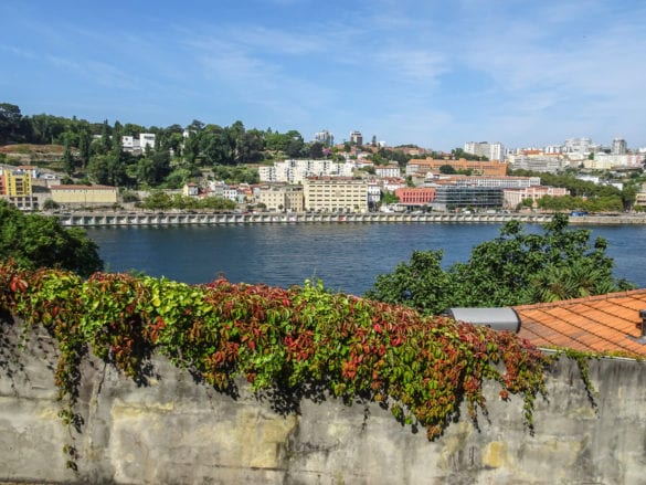 Abstieg von der Ponte da Arrábida in Porto am Jakobsweg Portugal