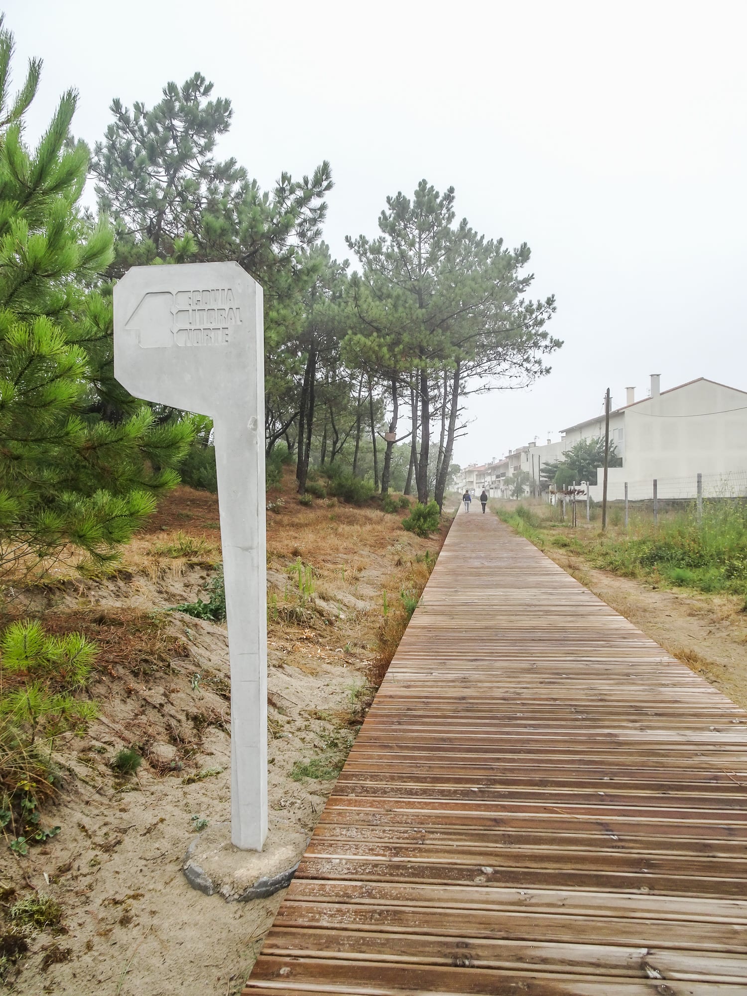 Holzpfad und Markierung im ökologischen Park Ecovia do Litoral in Cepães am Jakobsweg Portugal