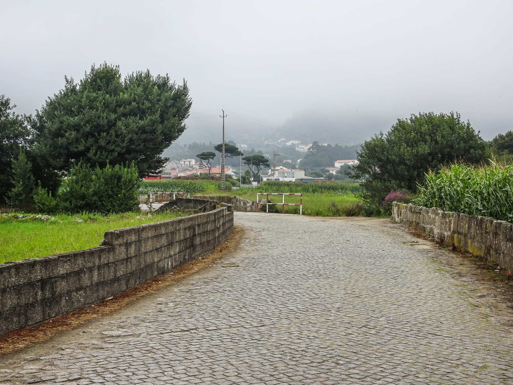 Feldweg mit vernebelter Sicht zum Ort Monte am Jakobsweg Portugal