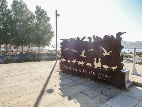 Observatório das Aves in Porto am Jakobsweg Portugal