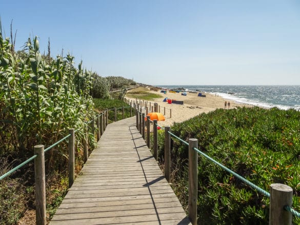 Holzpfad am Beach Castro Sampaio in Lamosa am Jakobsweg Portugal