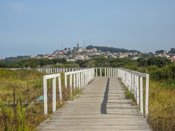 Holzpfad mit Blick auf Carreço am Jakobsweg Portugal